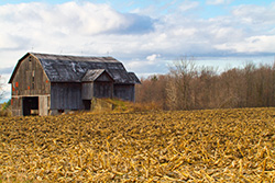 barn in field with trees and clouds in sky