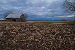 grange abandonnée dans champ de boue sous ciel nuageux