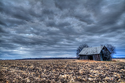 abandoned barn in mud and corn field in HDR