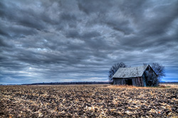 grange abandonnée dans champ de maïs et de boue sur image HDR