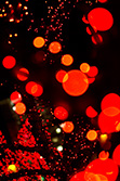 christmas_light_013