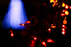 christmas_light_020