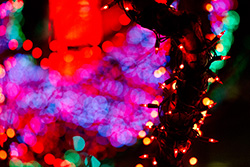 christmas_light_022