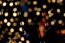 white fairy lights with blue and red glimmer lights on background