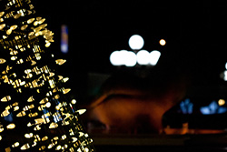 guirlandes électriques et lampadaire à côté d'une sculpture