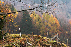 fence on hills with wooden posts and barbed wires in Autumn