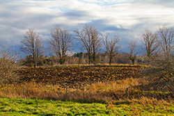 mud field and trees under cloudy sky in Quebec