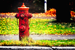 fire plug LOMO photography on sidewalk in street