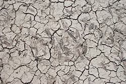 cracked dry ground and soil