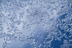 ice on window in winter