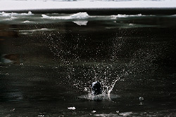 impact d'un caillou sur glace et eau