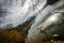 bord lac de Gruyère avec arbres
