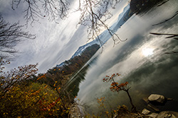 Gruyere lake border with trees