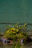 small soil island in lake with clear water