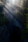 sunbeams through fir trees at sunrise, Maligne Canyon, Alberta