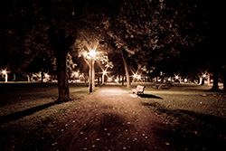 public park at night with street lights, bench and trees