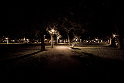 banc dans un parc la nuit avec des arbres et lumières de rue