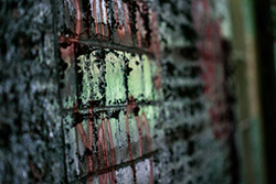 bricks wall with peeling paint