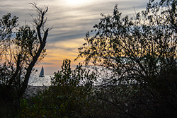 voilier sur mer au coucher de soleil