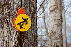 panneau de raquettes en hiver sur un arbre