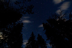 starry sky above forest with cloudsin Yoho Park