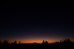 sunset_tree_silhouettes_001