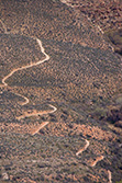 Grand Canyon trail in Arizona