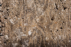 wooden texture with splinters, dust and holes