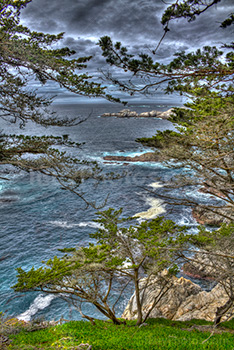 Côte Californienne avec des arbres et l'océan Pacifique avec des vagues