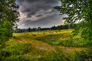 Champsde culture en photo HDR avec chemin sous arbres et ciel nuageux