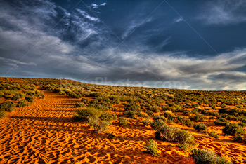 Désert en Arizona avec ciel nuageux et petits buissons, photo HDR