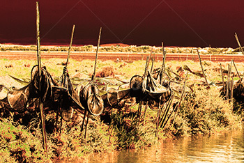 Filets de pêche sur bord canal et étang, Camargue en France