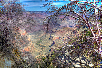 Grand Canyon HDR avec buissons et branches, vue sur la vallée