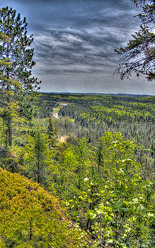 Vue HDR des montagnes au dessus de la forêt avec sapins et érables