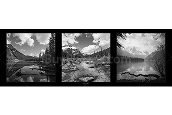 Photo: Panorama Nature Bw 001