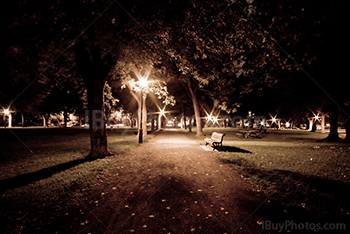 Public park at night with street lights, bench and trees