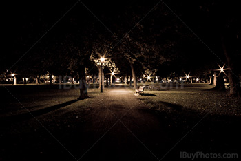 Bench in park at night with trees and street lights