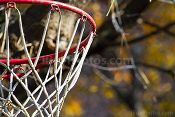 Basketball basket rim and net with Autumn leaves