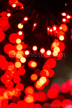 Red fairy lights in tree with gleam light