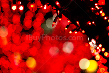 Christmas lights on branch with reddish colors