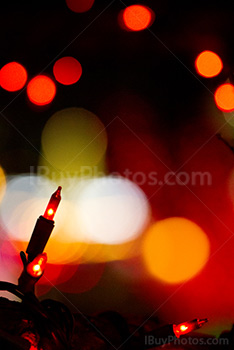 Fairy light bulb with glowing lights