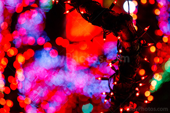 Christmas tree lights and colored gleam lights