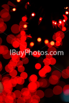 Photo: Christmas Light 007