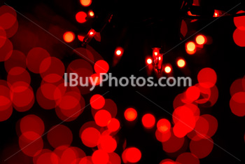 Photo: Christmas Light 008