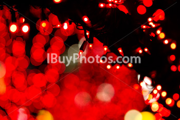 Photo: Christmas Light 010