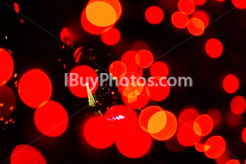 Photo: Christmas Light 012