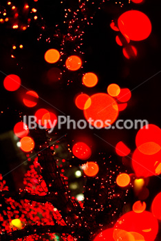 Photo: Christmas Light 013