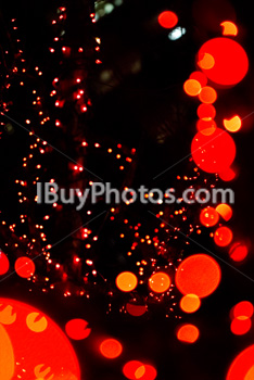 Photo: Christmas Light 017