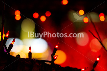 Photo: Christmas Light 018