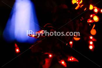 Photo: Christmas Light 020